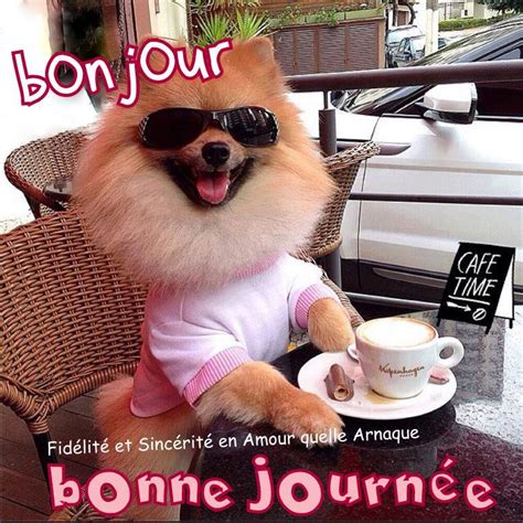 bonjour humour gif|bonjour meme.